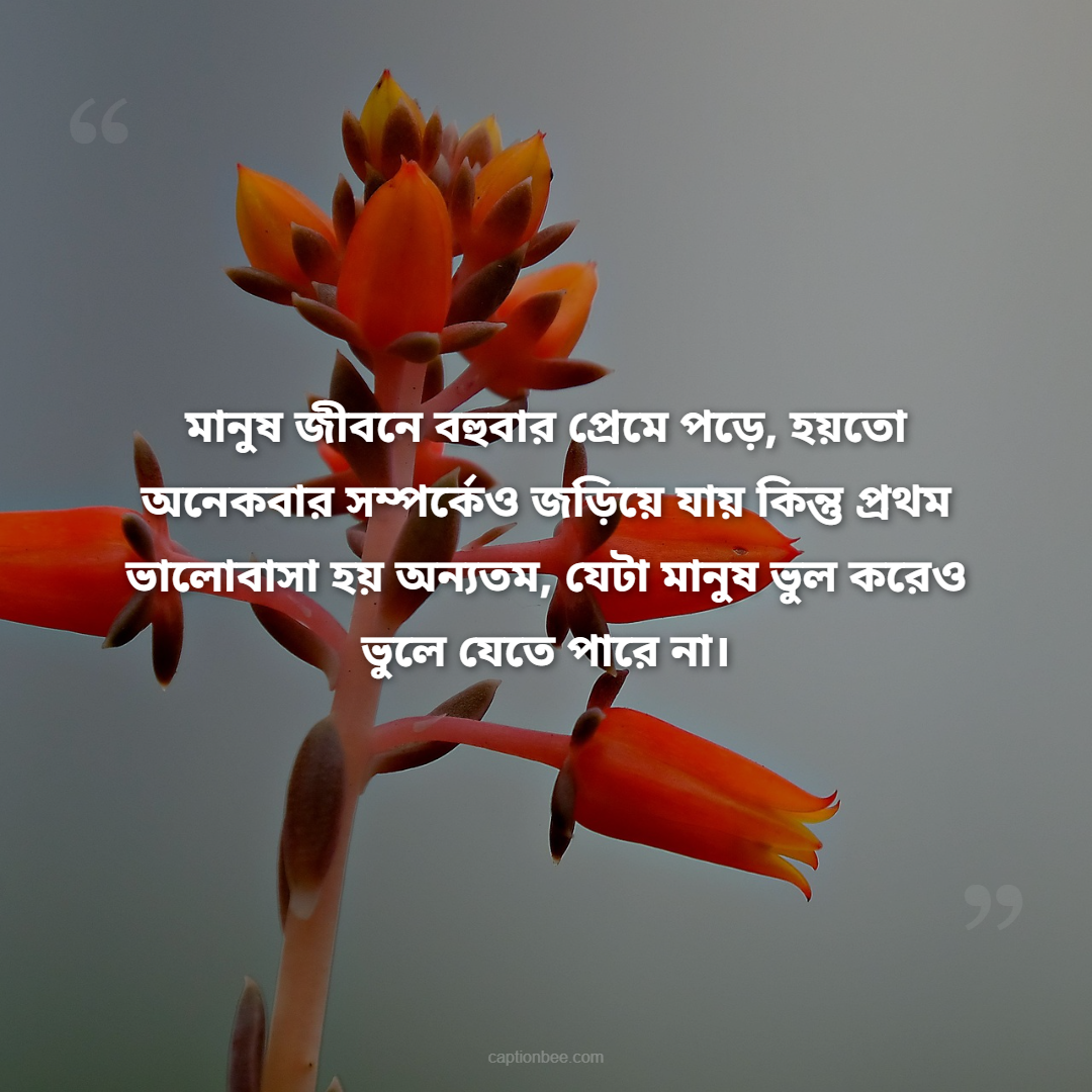 মানুষ জীবনে বহুবার প্রেমে পড়ে, হয়তো অনেকবার সম্পর্কেও জড়িয়ে যায় কিন্তু প্রথম ভালোবাসা হয় অন্যতম, যেটা মানুষ ভুল করেও ভুলে যেতে পারে না।