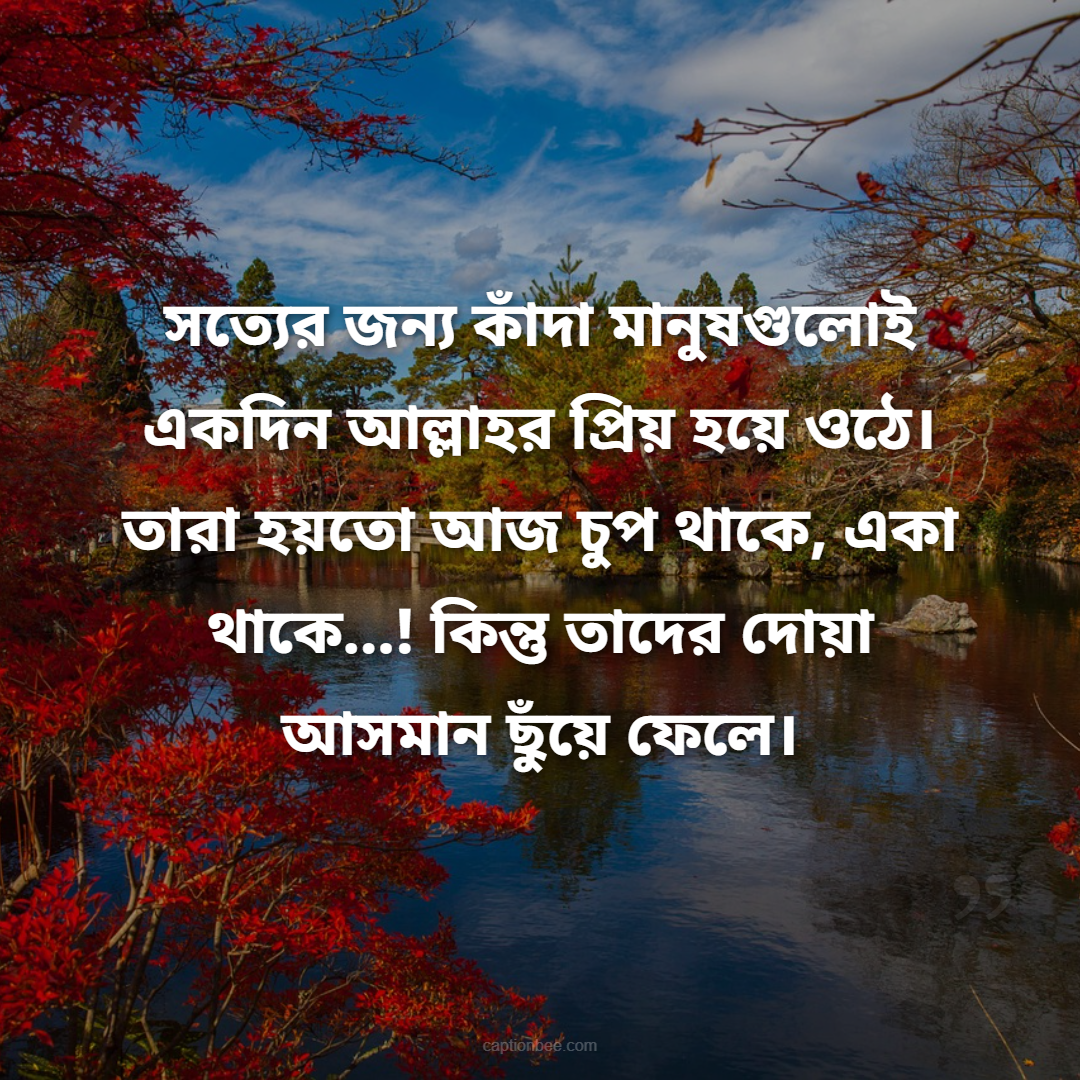 সত্যের জন্য কাঁদা মানুষগুলোই একদিন আল্লাহর প্রিয় হয়ে ওঠে। তারা হয়তো আজ চুপ থাকে, একা থাকে…! কিন্তু তাদের দোয়া আসমান ছুঁয়ে ফেলে।