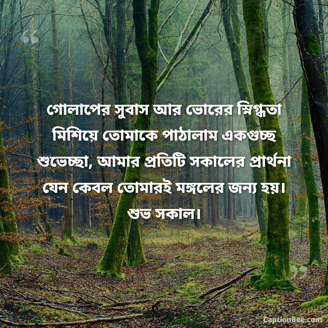 গোলাপের সুবাস আর ভোরের স্নিগ্ধতা মিশিয়ে তোমাকে পাঠালাম একগুচ্ছ শুভেচ্ছা, আমার প্রতিটি সকালের প্রার্থনা যেন কেবল তোমারই মঙ্গলের জন্য হয়। শুভ সকাল।