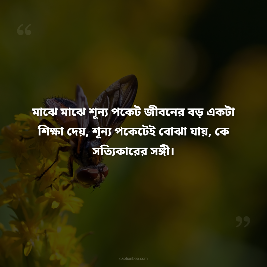 মাঝে মাঝে শূন্য পকেট জীবনের বড় একটা শিক্ষা দেয়, শূন্য পকেটেই বোঝা যায়, কে সত্যিকারের সঙ্গী।