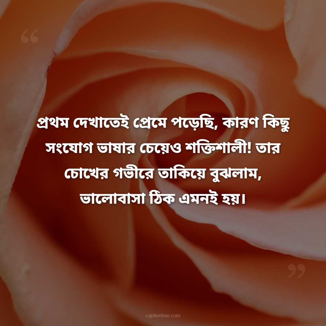 প্রথম দেখাতেই প্রেমে পড়েছি, কারণ কিছু সংযোগ ভাষার চেয়েও শক্তিশালী! তার চোখের গভীরে তাকিয়ে বুঝলাম, ভালোবাসা ঠিক এমনই হয়।