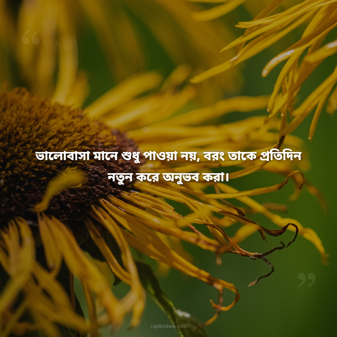 ভালোবাসা মানে শুধু পাওয়া নয়, বরং তাকে প্রতিদিন নতুন করে অনুভব করা।