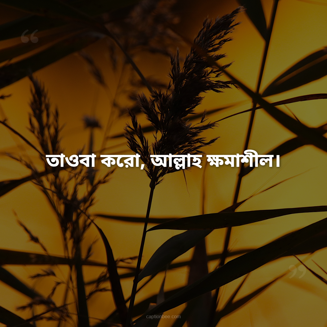 তাওবা করো, আল্লাহ ক্ষমাশীল।