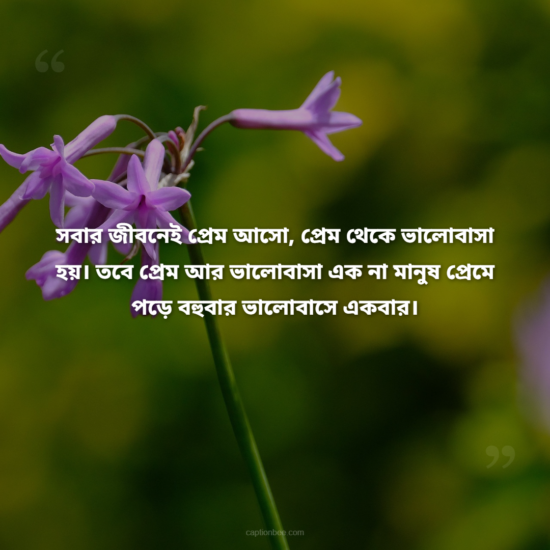 সবার জীবনেই প্রেম আসো, প্রেম থেকে ভালোবাসা হয়। তবে প্রেম আর ভালোবাসা এক না মানুষ প্রেমে পড়ে বহুবার ভালোবাসে একবার।