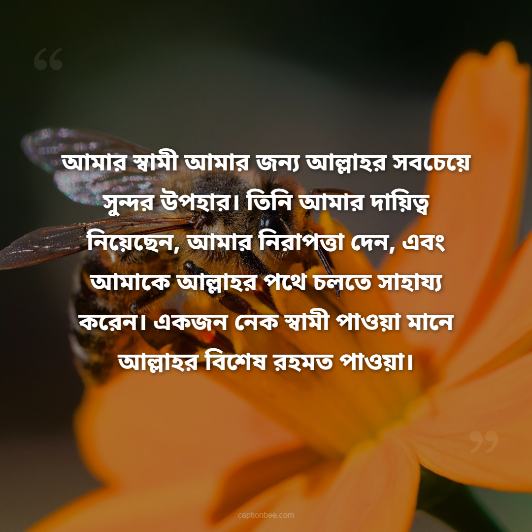 আমার স্বামী আমার জন্য আল্লাহর সবচেয়ে সুন্দর উপহার। তিনি আমার দায়িত্ব নিয়েছেন, আমার নিরাপত্তা দেন, এবং আমাকে আল্লাহর পথে চলতে সাহায্য করেন। একজন নেক স্বামী পাওয়া মানে আল্লাহর বিশেষ রহমত পাওয়া।