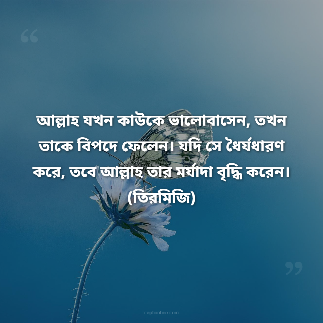 আল্লাহ যখন কাউকে ভালোবাসেন, তখন তাকে বিপদে ফেলেন। যদি সে ধৈর্যধারণ করে, তবে আল্লাহ তার মর্যাদা বৃদ্ধি করেন। -(তিরমিজি)
