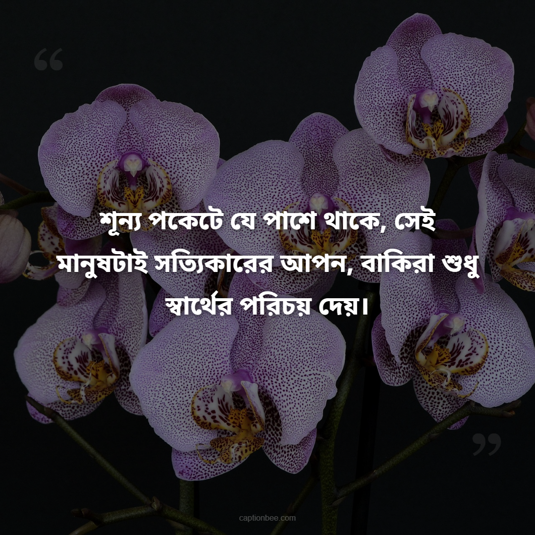 শূন্য পকেটে যে পাশে থাকে, সেই মানুষটাই সত্যিকারের আপন, বাকিরা শুধু স্বার্থের পরিচয় দেয়।