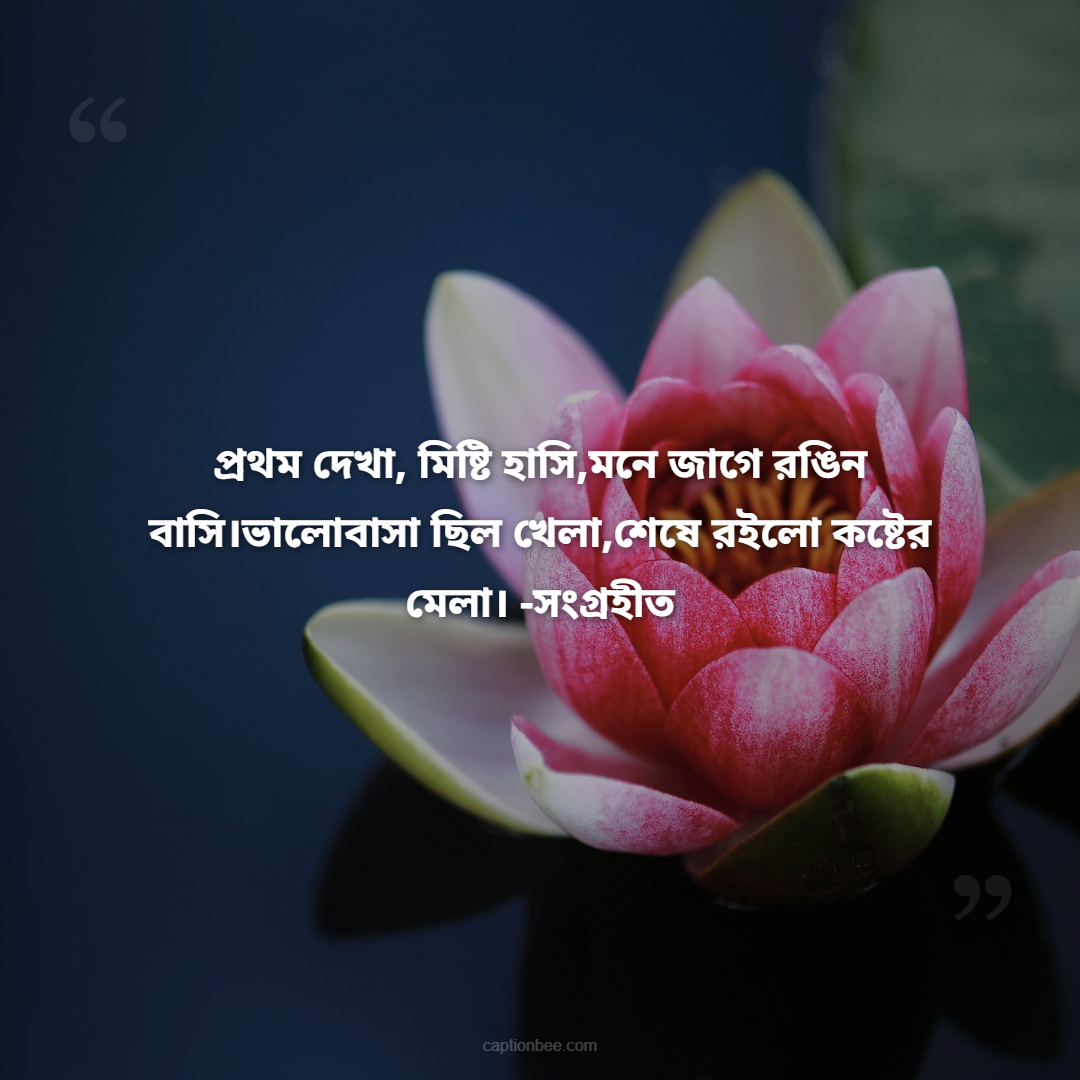 প্রথম দেখা, মিষ্টি হাসি,মনে জাগে রঙিন বাসি।ভালোবাসা ছিল খেলা,শেষে রইলো কষ্টের মেলা। -সংগ্রহীত