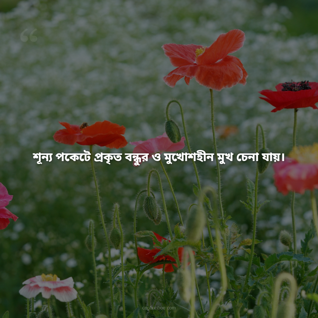 শূন্য পকেটে  প্রকৃত বন্ধুর ও মুখোশহীন মুখ চেনা যায়।
