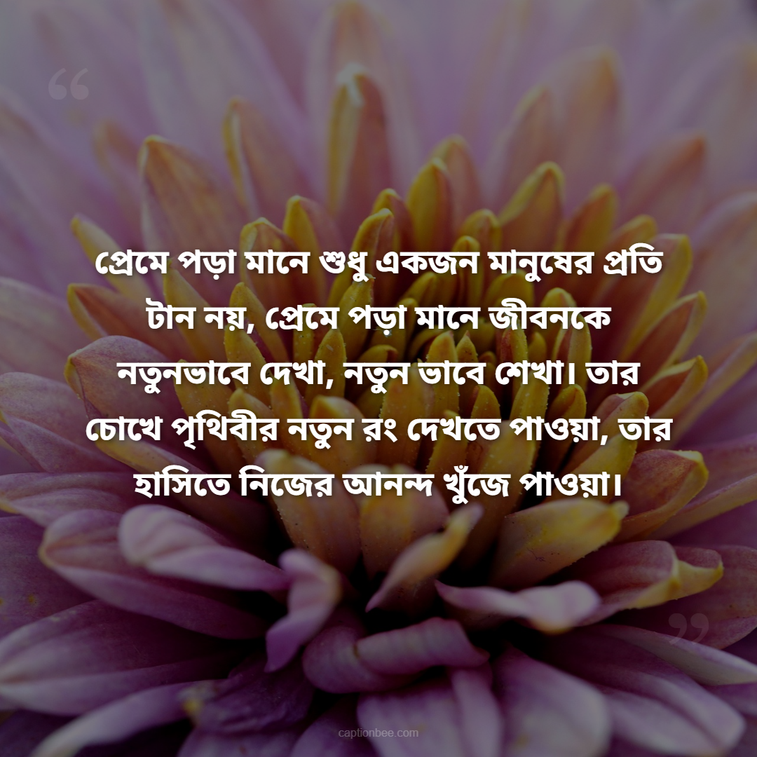 প্রেমে পড়া মানে শুধু একজন মানুষের প্রতি টান নয়, প্রেমে পড়া মানে জীবনকে নতুনভাবে দেখা, নতুন ভাবে শেখা। তার চোখে পৃথিবীর নতুন রং দেখতে পাওয়া, তার হাসিতে নিজের আনন্দ খুঁজে পাওয়া।