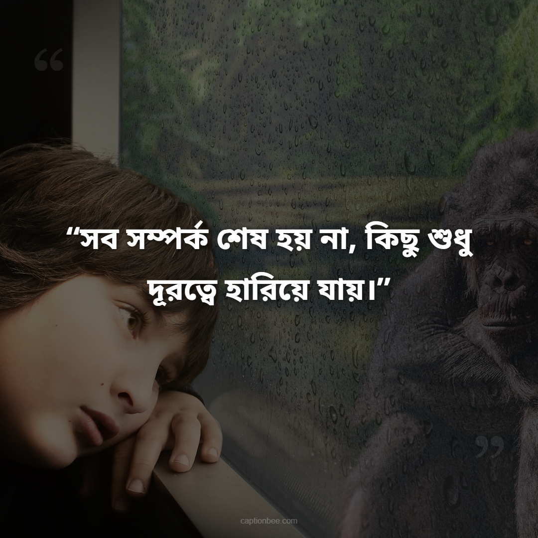 সব সম্পর্ক শেষ হয় না, কিছু শুধু দূরত্বে হারিয়ে যায়।