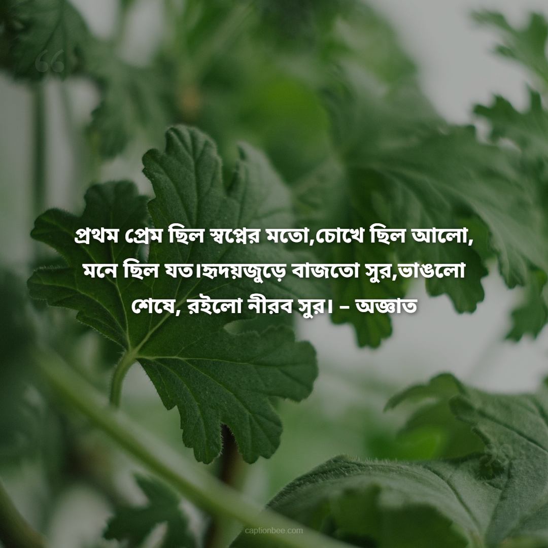 প্রথম প্রেম ছিল স্বপ্নের মতো,চোখে ছিল আলো, মনে ছিল যত।হৃদয়জুড়ে বাজতো সুর,ভাঙলো শেষে, রইলো নীরব সুর। – অজ্ঞাত