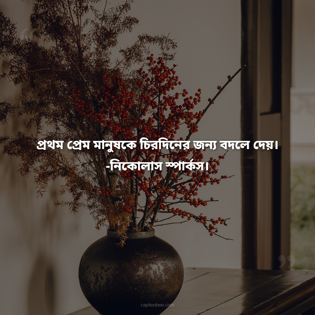 যাবজ্জীবন দন্ড দিলাম তোমায়, প্রথম ও শেষ প্রেম আমার।