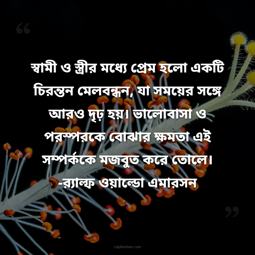 স্বামী ও স্ত্রীর মধ্যে প্রেম হলো একটি চিরন্তন মেলবন্ধন, যা সময়ের সঙ্গে আরও দৃঢ় হয়। ভালোবাসা ও পরস্পরকে বোঝার ক্ষমতা এই সম্পর্ককে মজবুত করে তোলে। -র‍্যাল্ফ ওয়াল্ডো এমারসন