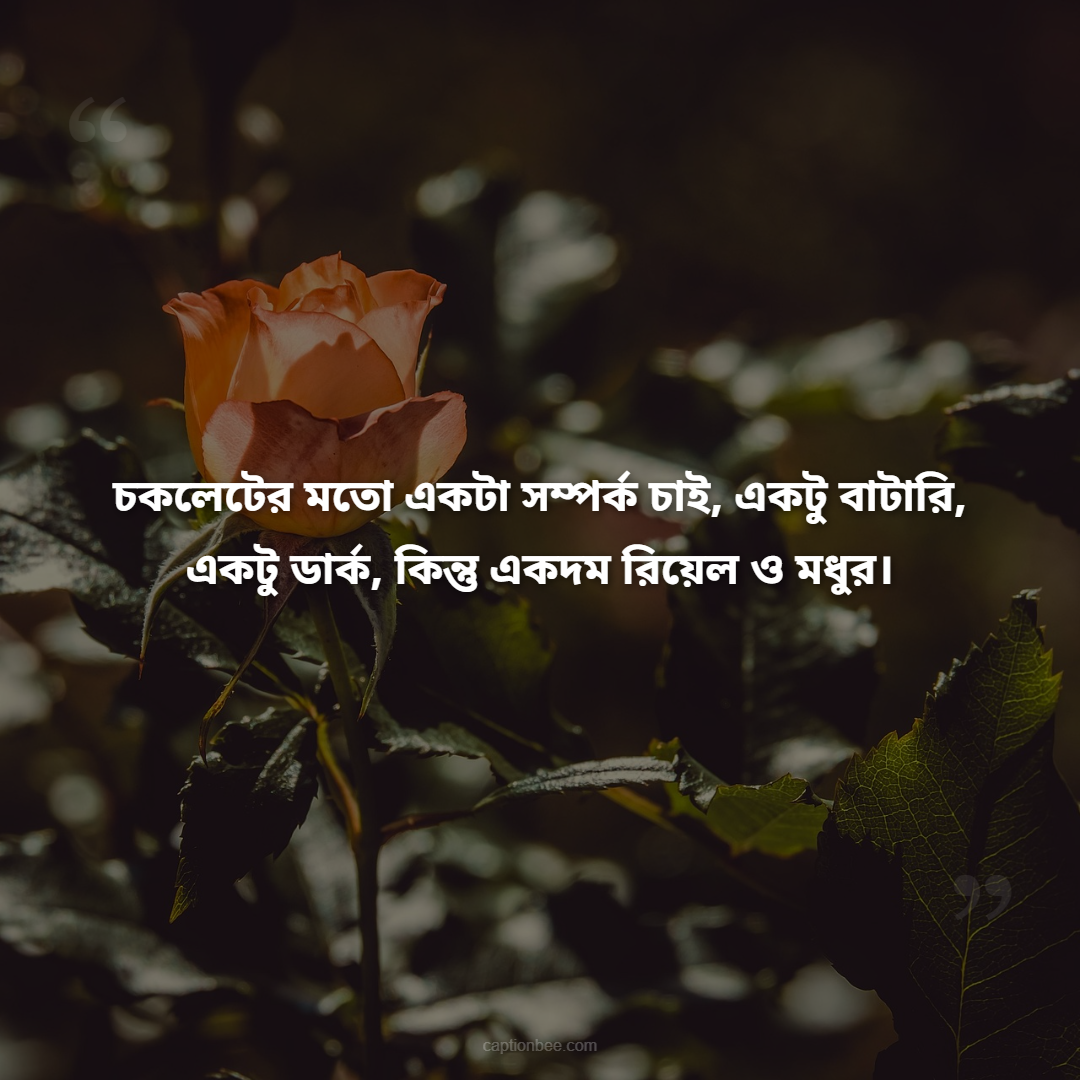 আজ চকলেট ডে, তাই তিক্ত স্মৃতিগুলোকে একটু ডার্ক চকলেট দিয়ে ঢেকে দিলাম।