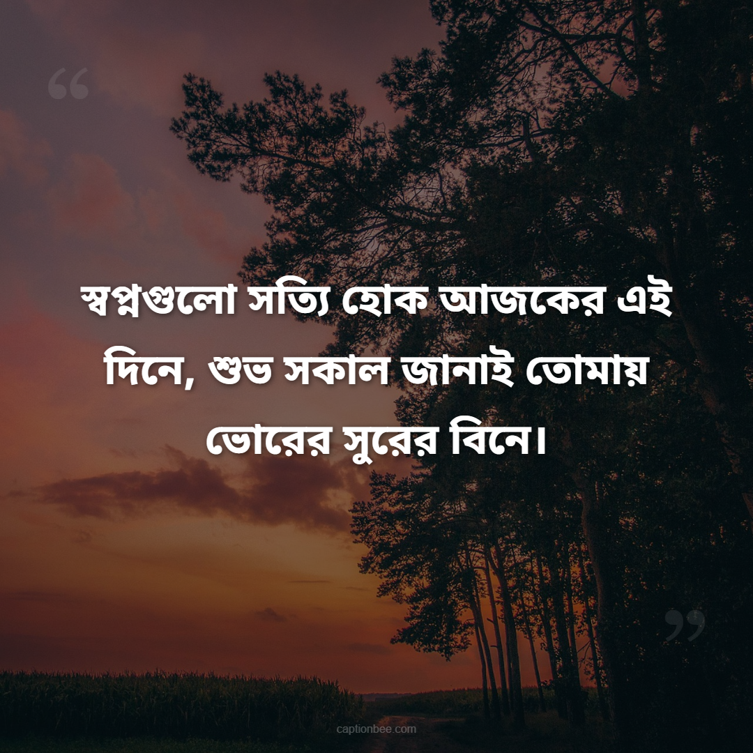স্বপ্নগুলো সত্যি হোক আজকের এই দিনে, শুভ সকাল জানাই তোমায় ভোরের সুরের বিনে।