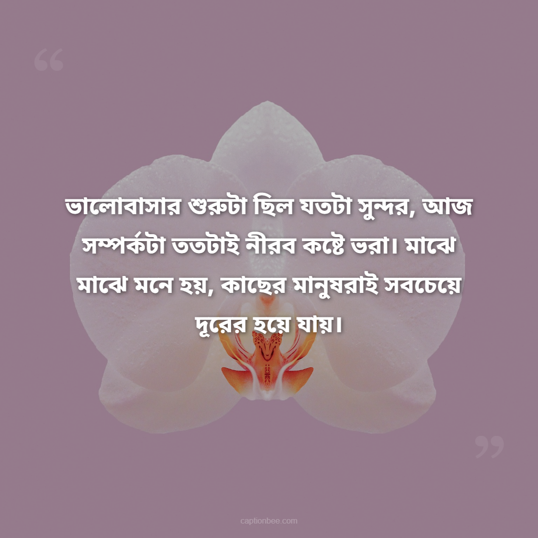 ভালোবাসার শুরুটা ছিল যতটা সুন্দর, আজ সম্পর্কটা ততটাই নীরব কষ্টে ভরা। মাঝে মাঝে মনে হয়, কাছের মানুষরাই সবচেয়ে দূরের হয়ে যায়।