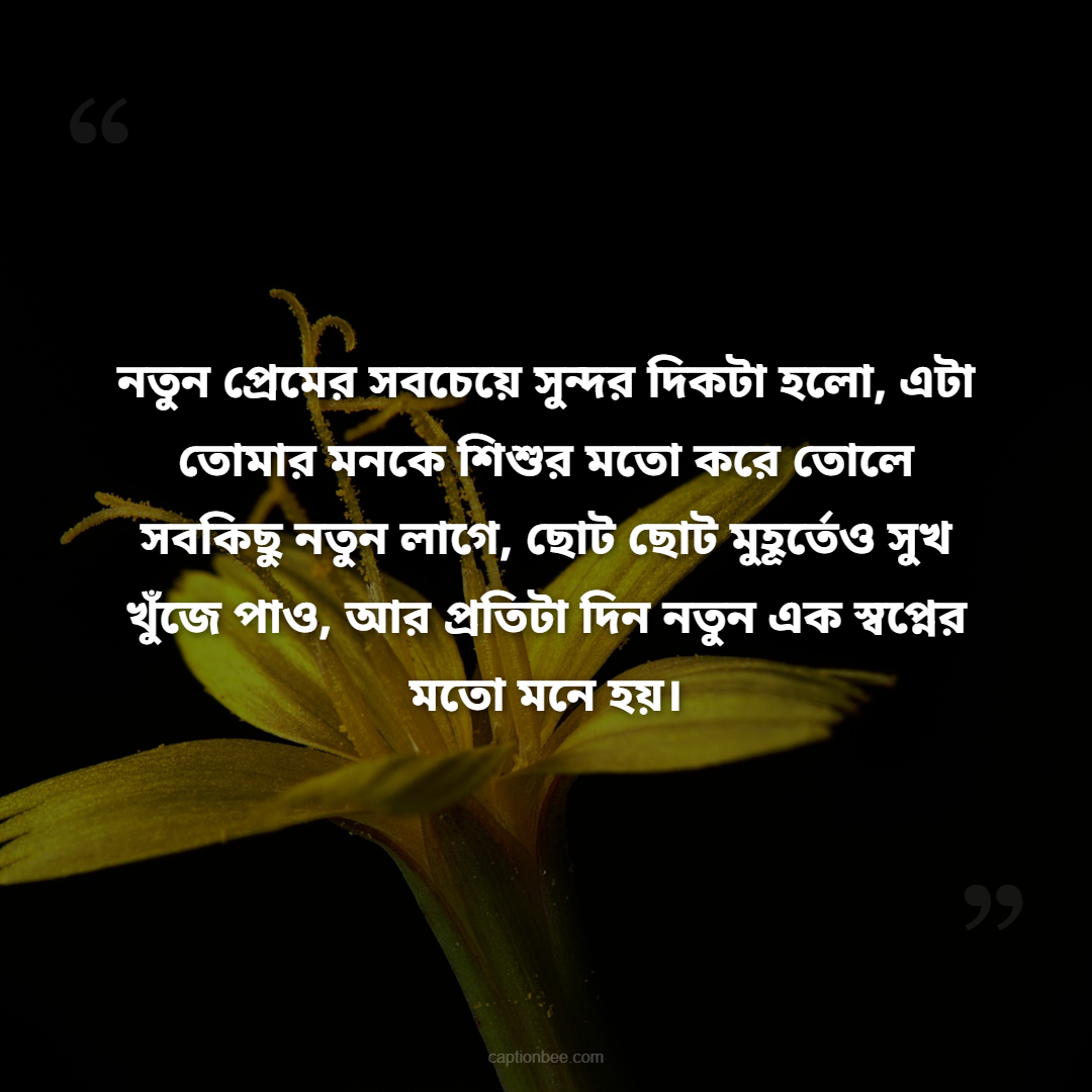 নতুন প্রেমের সবচেয়ে সুন্দর দিকটা হলো, এটা তোমার মনকে শিশুর মতো করে তোলে সবকিছু নতুন লাগে, ছোট ছোট মুহূর্তেও সুখ খুঁজে পাও, আর প্রতিটা দিন নতুন এক স্বপ্নের মতো মনে হয়।