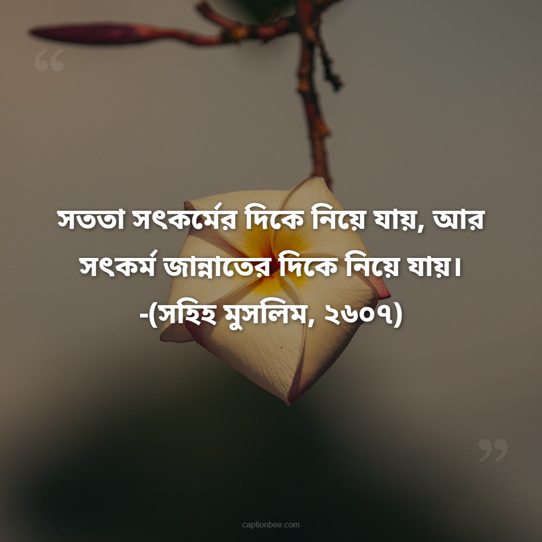 সততা সৎকর্মের দিকে নিয়ে যায়, আর সৎকর্ম জান্নাতের দিকে নিয়ে যায়। -(সহিহ মুসলিম, ২৬০৭)