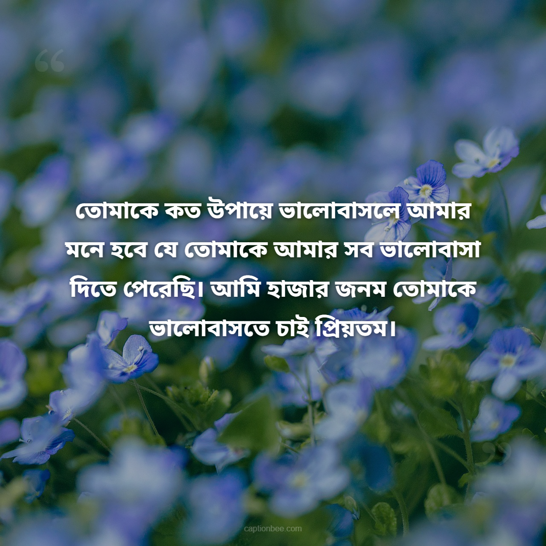 তোমাকে কত উপায়ে ভালোবাসলে আমার মনে হবে যে তোমাকে আমার সব ভালোবাসা দিতে পেরেছি। আমি হাজার জনম তোমাকে ভালোবাসতে চাই প্রিয়তম।