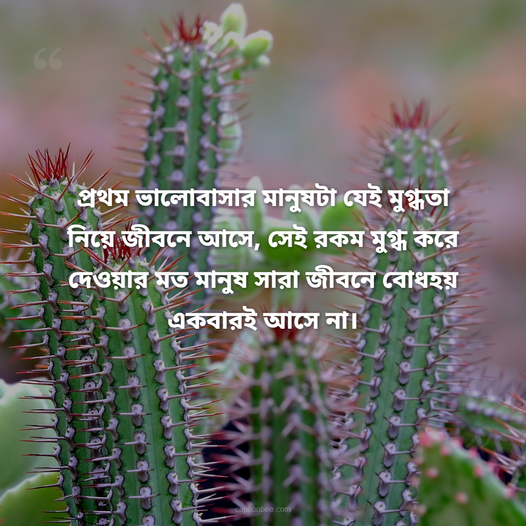প্রথম ভালোবাসার মানুষটা যেই মুগ্ধতা নিয়ে জীবনে আসে, সেই রকম মুগ্ধ করে দেওয়ার মত মানুষ সারা জীবনে বোধহয় একবারই আসে না।