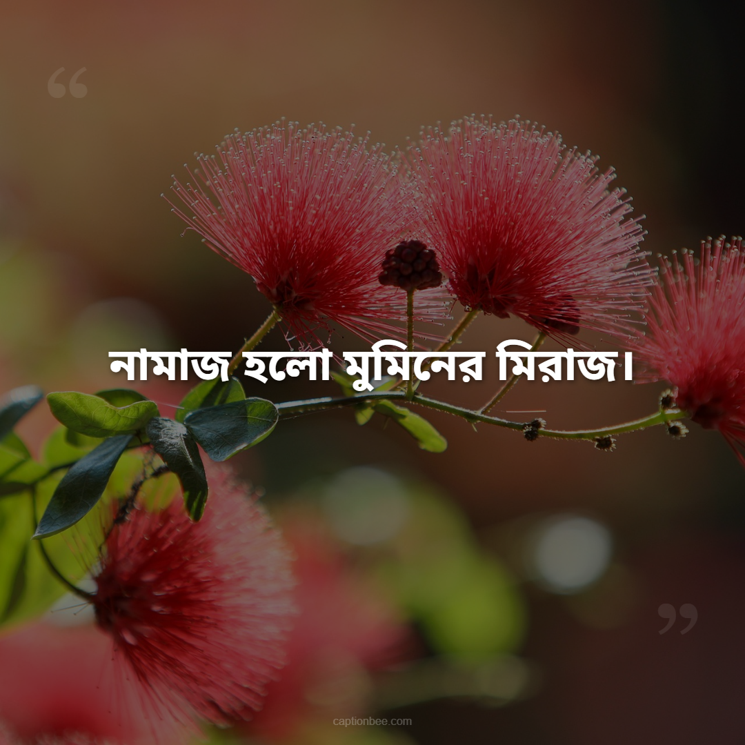 নামাজ হলো মুমিনের মিরাজ।