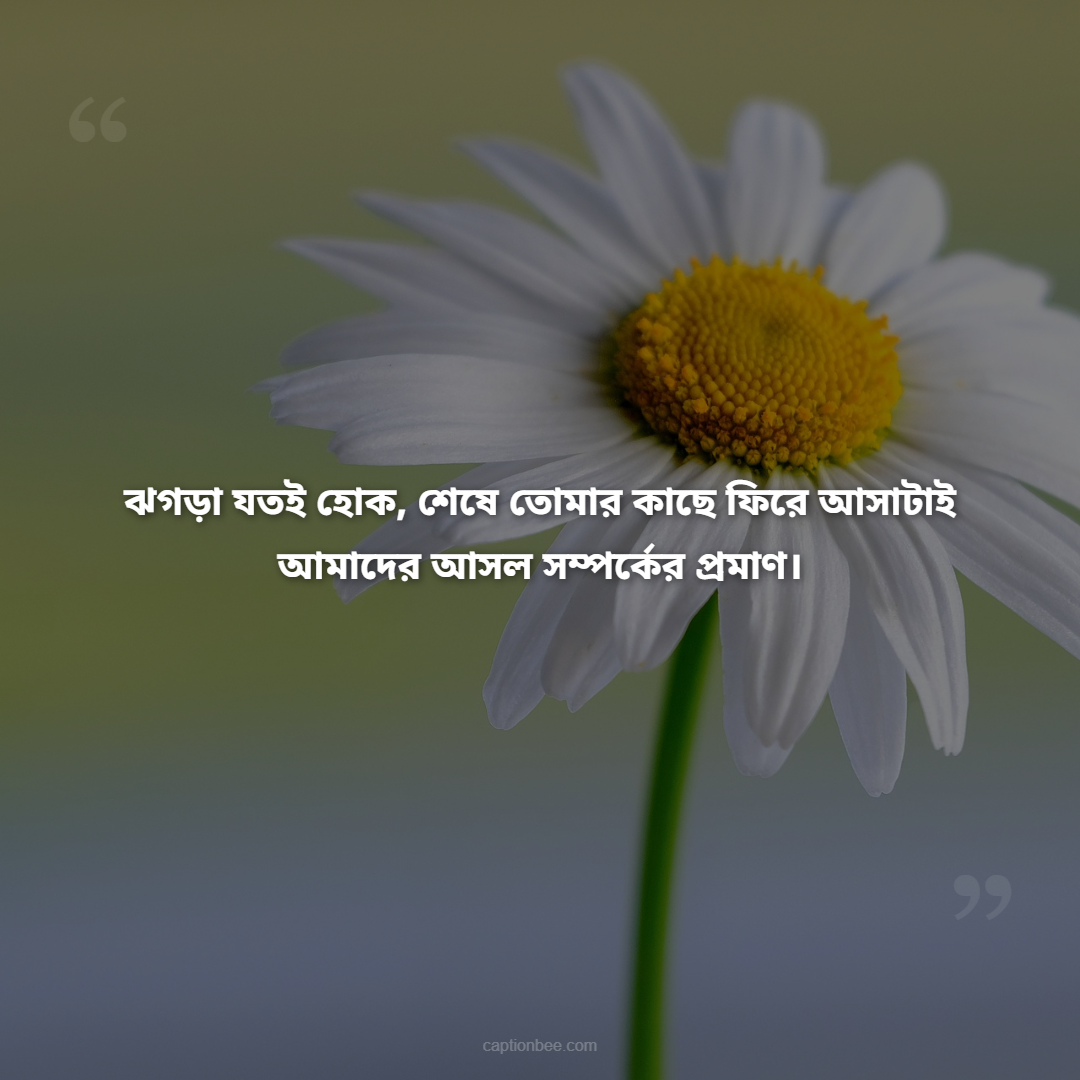 ঝগড়া যতই হোক, শেষে তোমার কাছে ফিরে আসাটাই আমাদের আসল সম্পর্কের প্রমাণ।