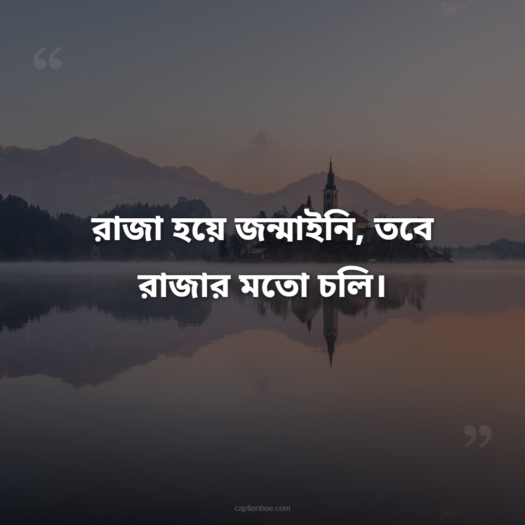 রাজা হয়ে জন্মাইনি, তবে রাজার মতো চলি।