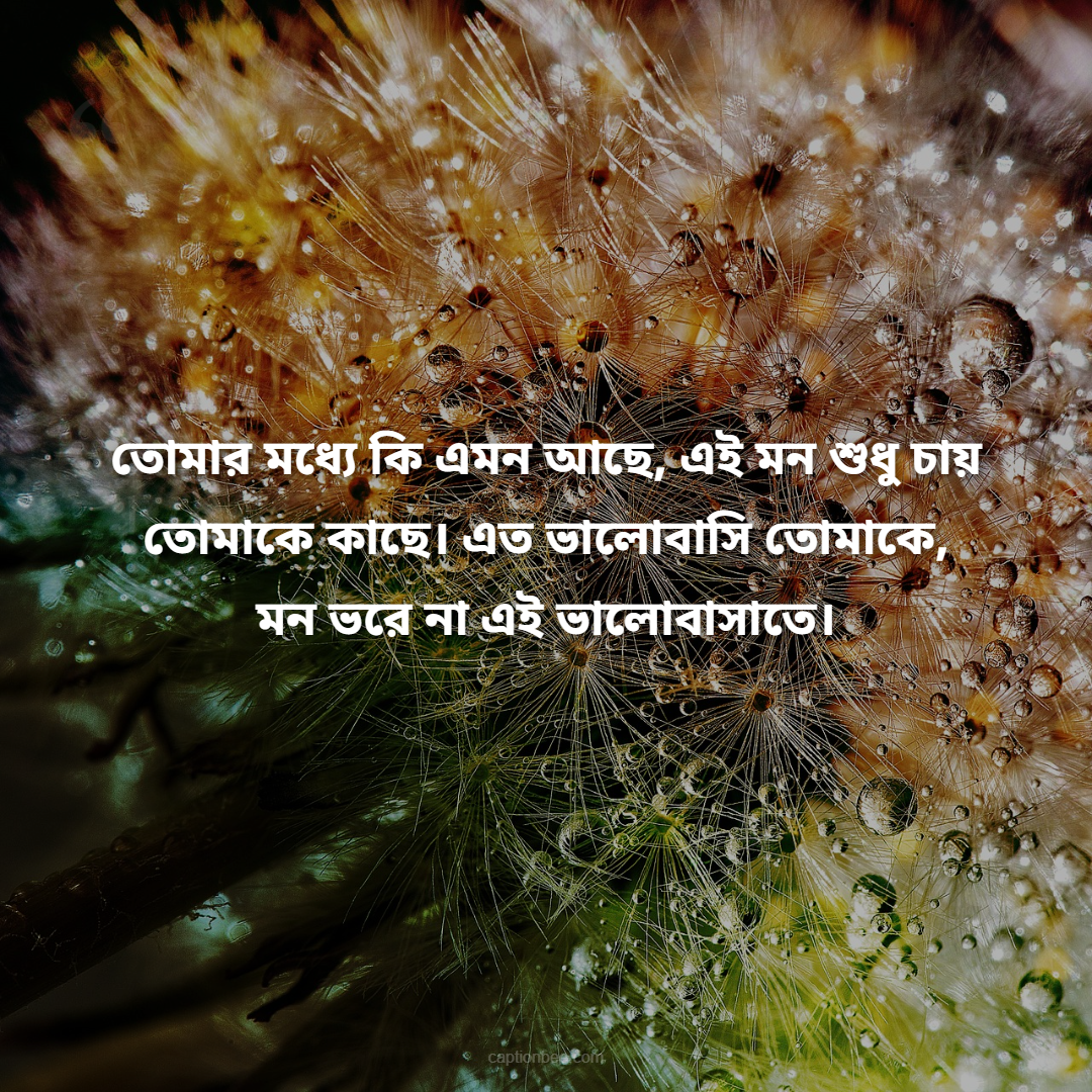 তোমার মধ্যে কি এমন আছে, এই মন শুধু চায় তোমাকে কাছে। এত ভালোবাসি তোমাকে, মন ভরে না এই ভালোবাসাতে।