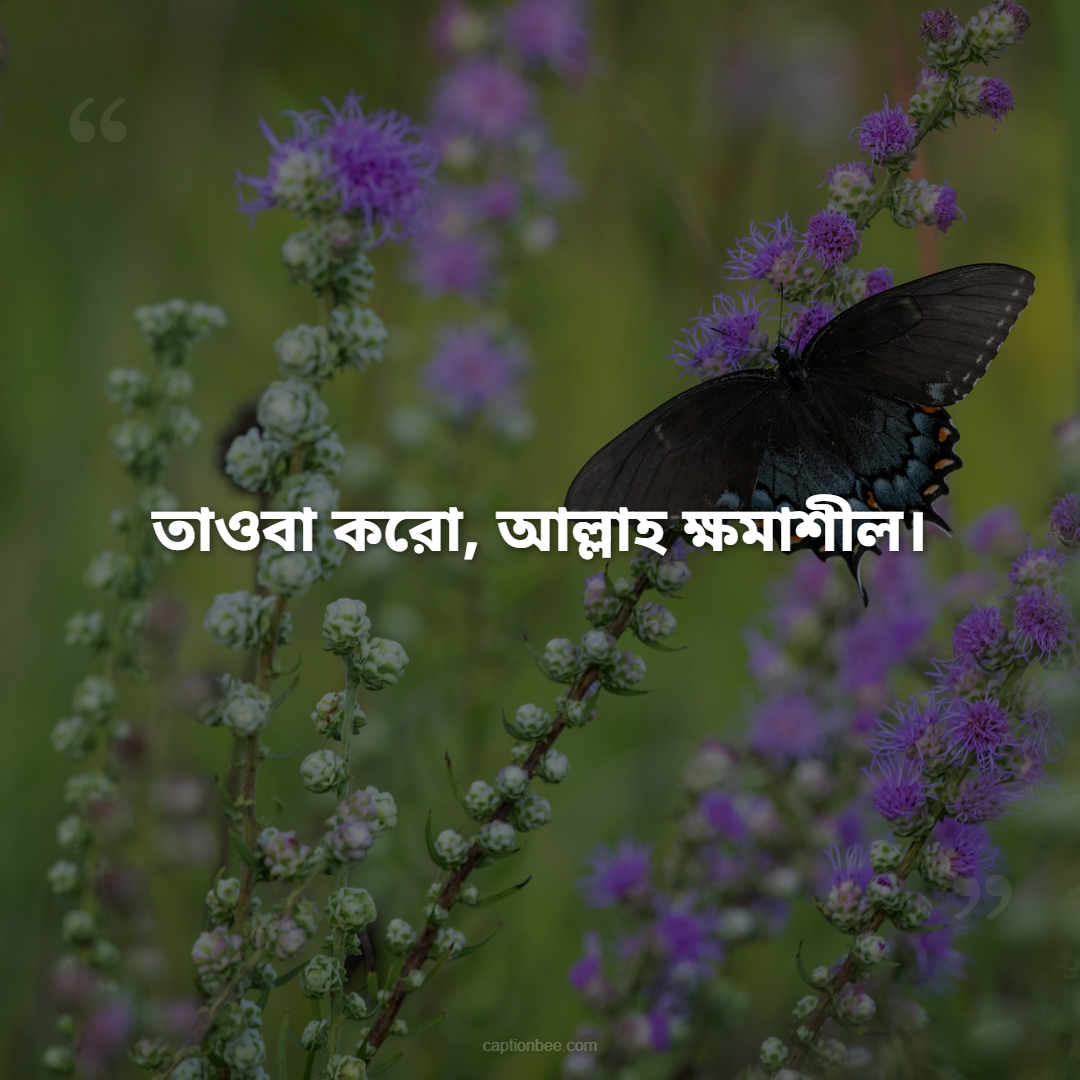সবর করো, আল্লাহ তোমার সাথে আছেন।