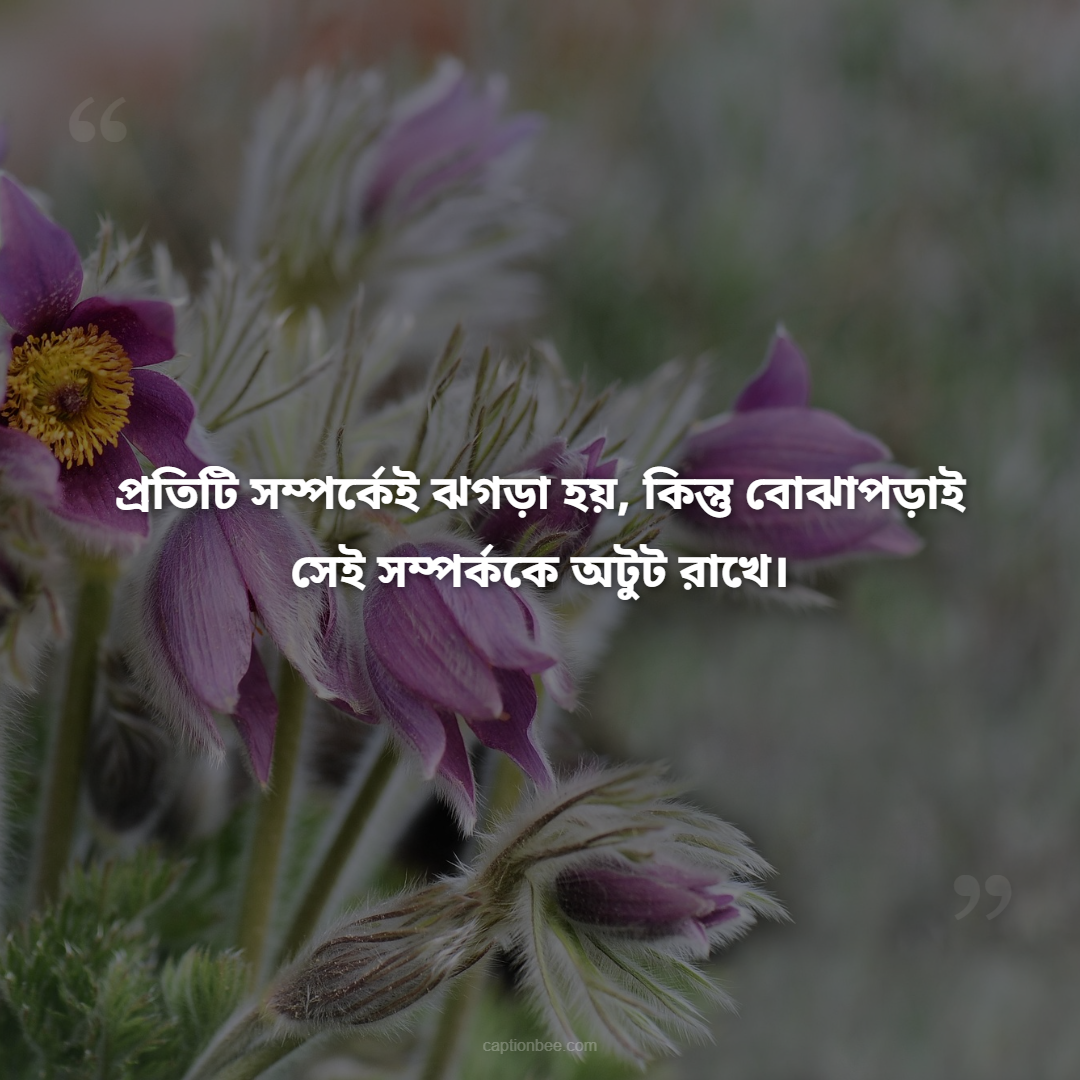 প্রতিটি সম্পর্কেই ঝগড়া হয়, কিন্তু বোঝাপড়াই সেই সম্পর্ককে অটুট রাখে।
