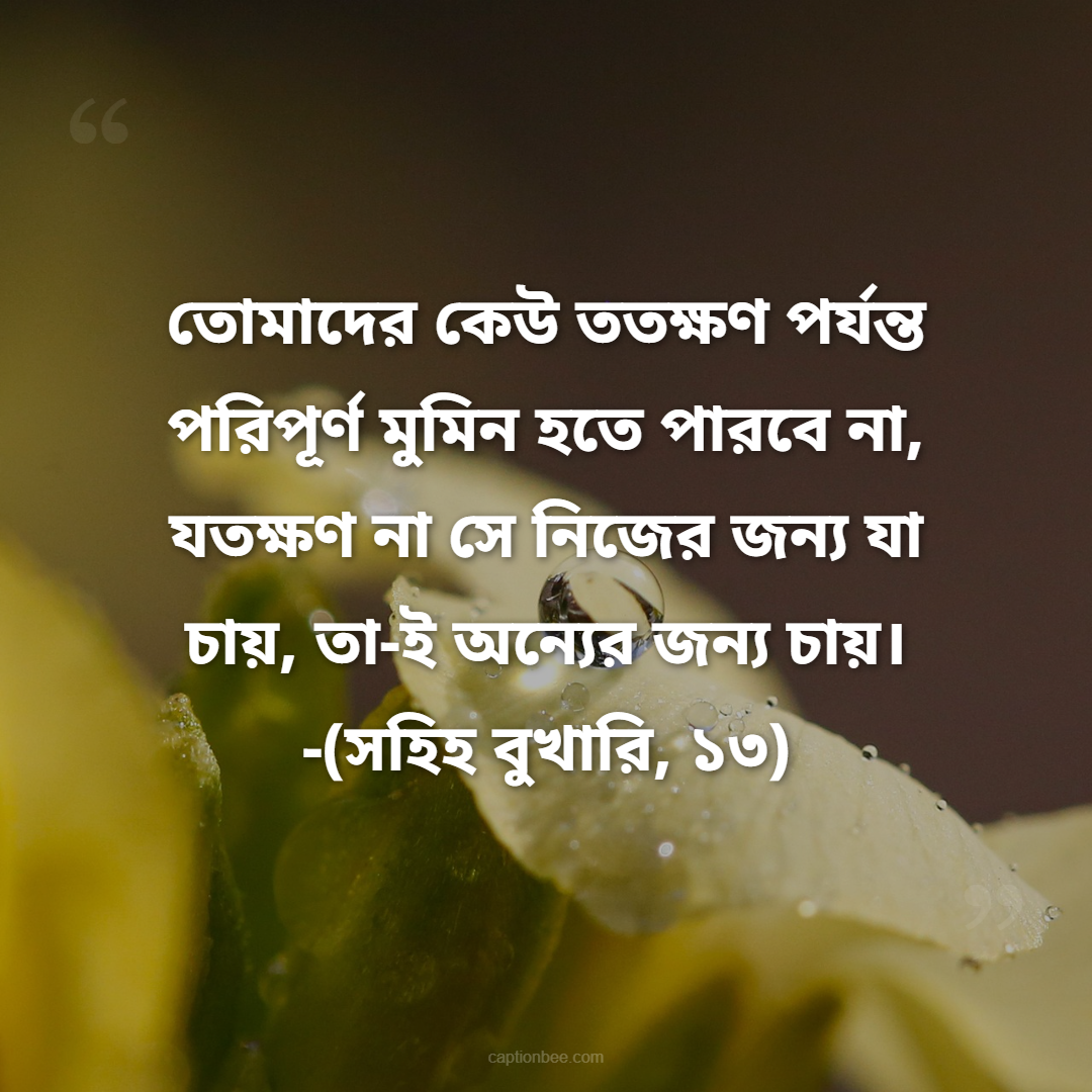 তোমাদের কেউ ততক্ষণ পর্যন্ত পরিপূর্ণ মুমিন হতে পারবে না, যতক্ষণ না সে নিজের জন্য যা চায়, তা-ই অন্যের জন্য চায়। -(সহিহ বুখারি, ১৩)