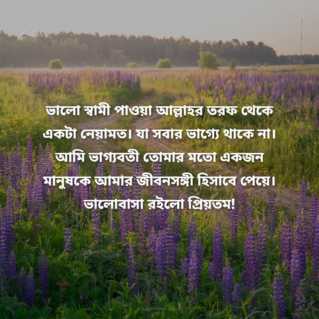 ভালো স্বামী পাওয়া আল্লাহর তরফ থেকে একটা নেয়ামত। যা সবার ভাগ্যে থাকে না। আমি ভাগ্যবতী তোমার মতো একজন মানুষকে আমার জীবনসঙ্গী হিসাবে পেয়ে। ভালোবাসা রইলো প্রিয়তম!