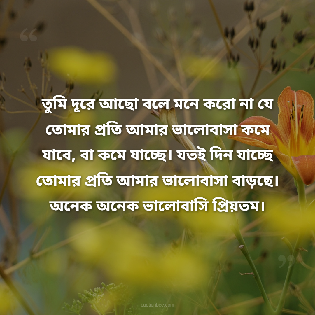 তুমি দূরে আছো বলে মনে করো না যে তোমার প্রতি আমার ভালোবাসা কমে যাবে, বা কমে যাচ্ছে। যতই দিন যাচ্ছে তোমার প্রতি আমার ভালোবাসা বাড়ছে। অনেক অনেক ভালোবাসি প্রিয়তম।
