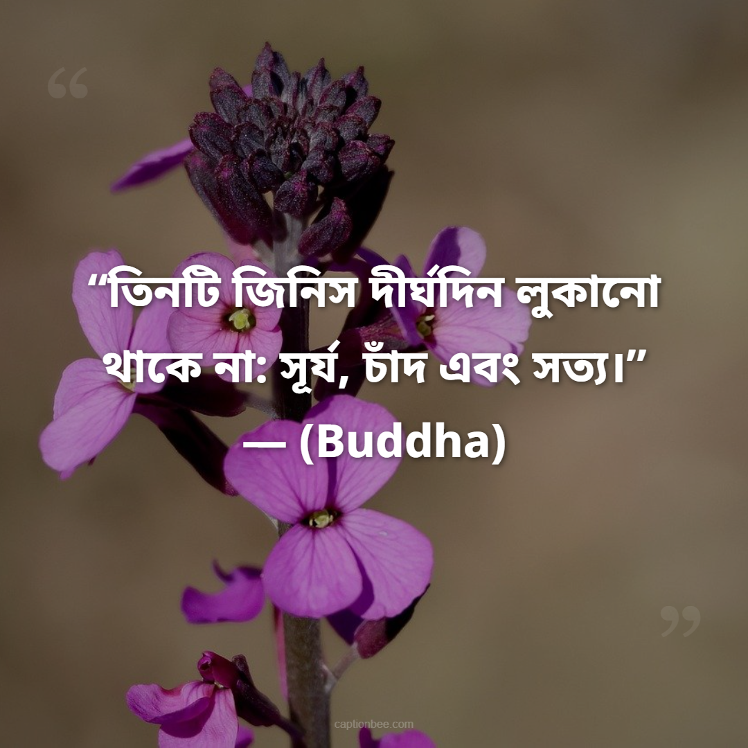 “তিনটি জিনিস দীর্ঘদিন লুকানো থাকে না সূর্য, চাঁদ এবং সত্য।” — Buddha