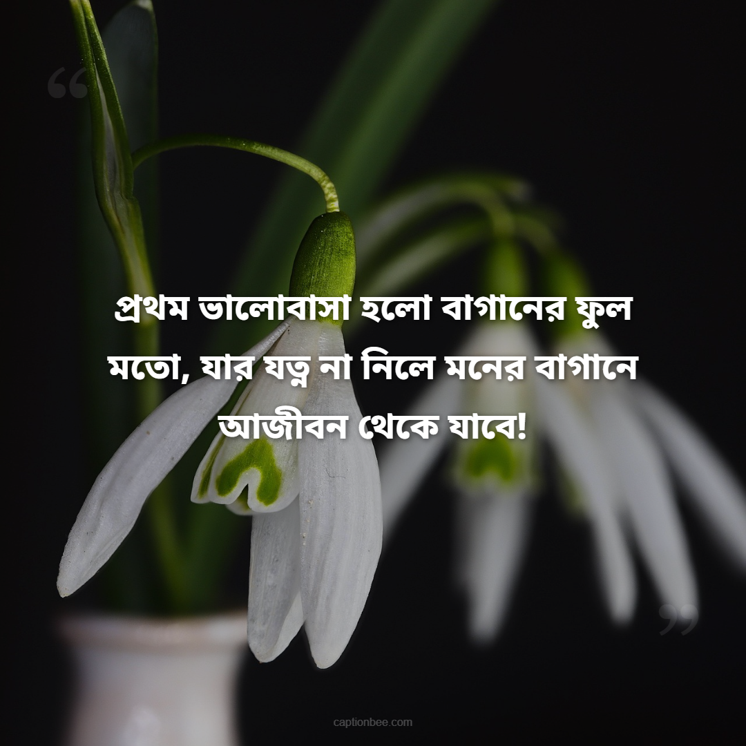 প্রথম ভালোবাসা হলো বাগানের ফুল মতো, যার যত্ন না নিলে মনের বাগানে আজীবন থেকে যাবে!