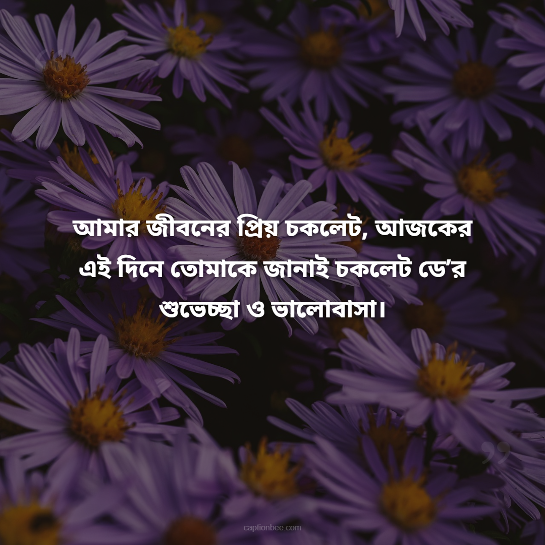 আমার জীবনের প্রিয় চকলেট, আজকের এই দিনে তোমাকে জানাই চকলেট ডে’র শুভেচ্ছা ও ভালোবাসা।