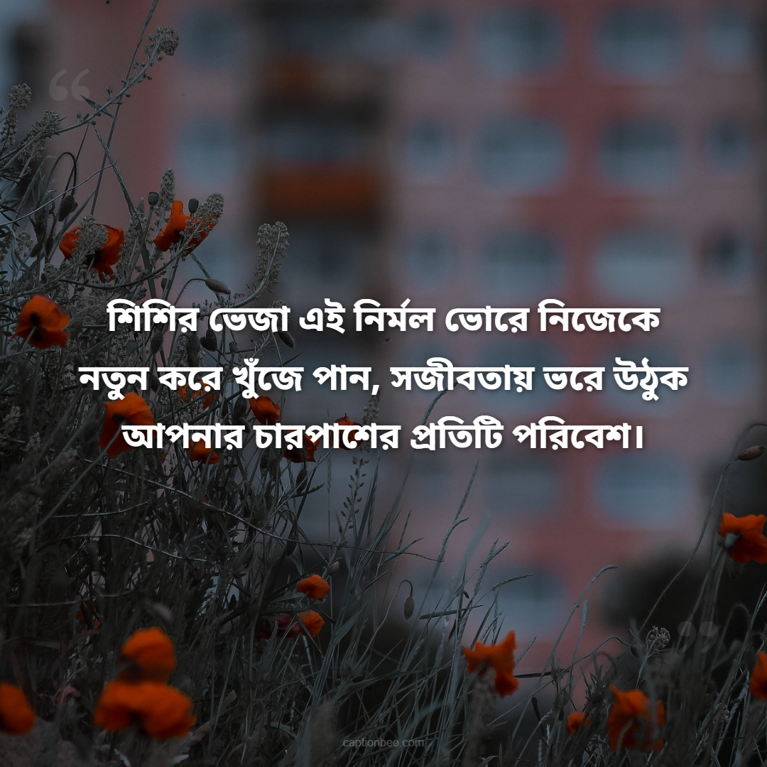 শিশির ভেজা এই নির্মল ভোরে নিজেকে নতুন করে খুঁজে পান, সজীবতায় ভরে উঠুক আপনার চারপাশের প্রতিটি পরিবেশ।