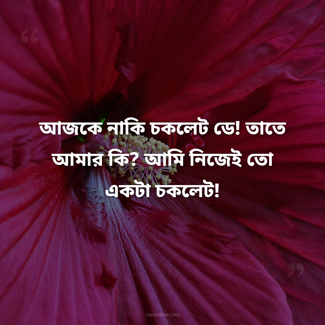 আজকে নাকি চকলেট ডে! তাতে আমার কি আমি নিজেই তো একটা চকলেট!