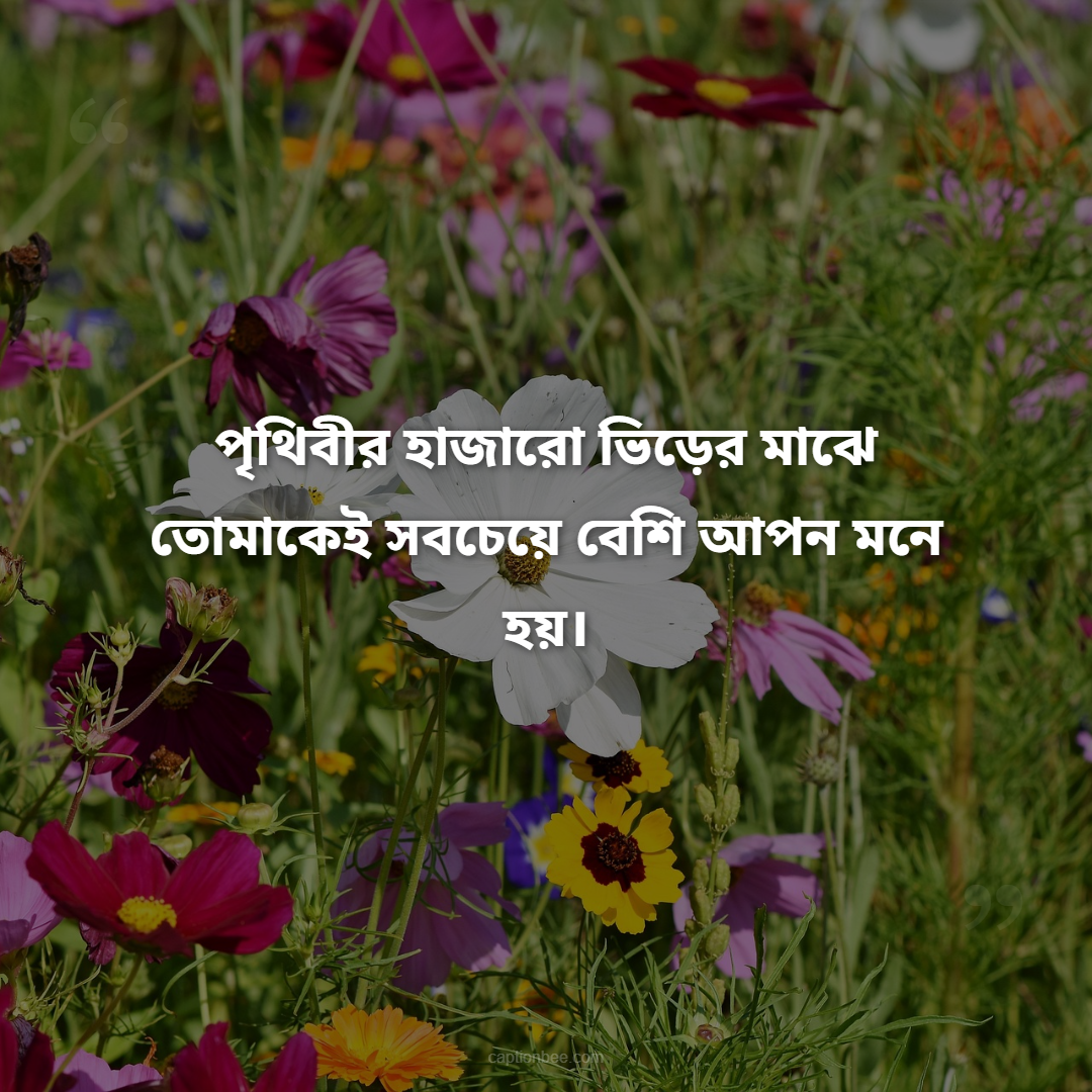 পৃথিবীর হাজারো ভিড়ের মাঝে তোমাকেই সবচেয়ে বেশি আপন মনে হয়।
