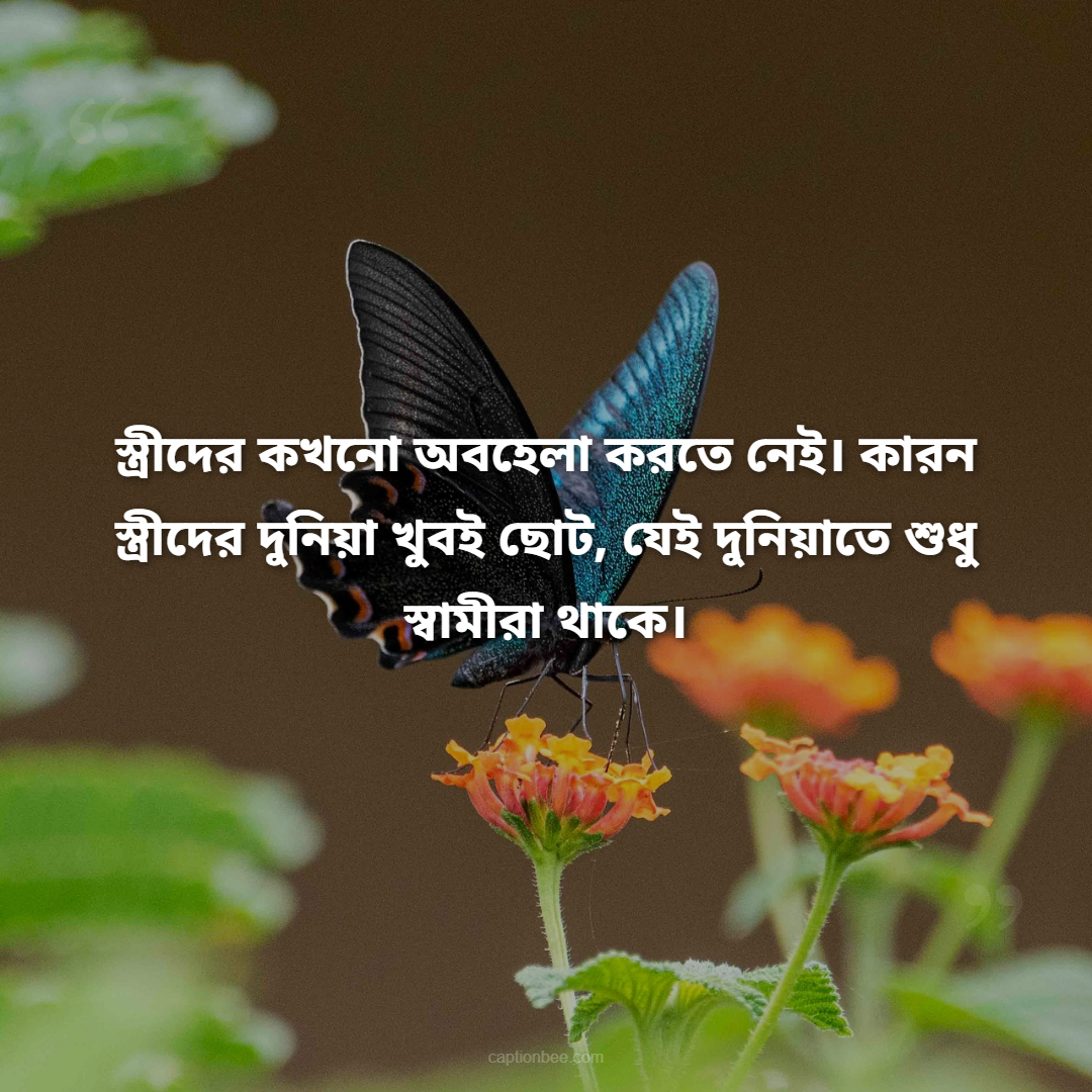 স্ত্রীদের কখনো অবহেলা করতে নেই। কারন স্ত্রীদের দুনিয়া খুবই ছোট, যেই দুনিয়াতে শুধু স্বামীরা থাকে।