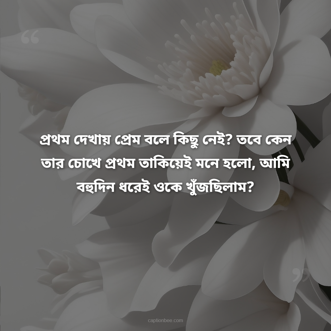 প্রথম দেখায় প্রেম বলে কিছু নেই তবে কেন তার চোখে প্রথম তাকিয়েই মনে হলো, আমি বহুদিন ধরেই ওকে খুঁজছিলাম