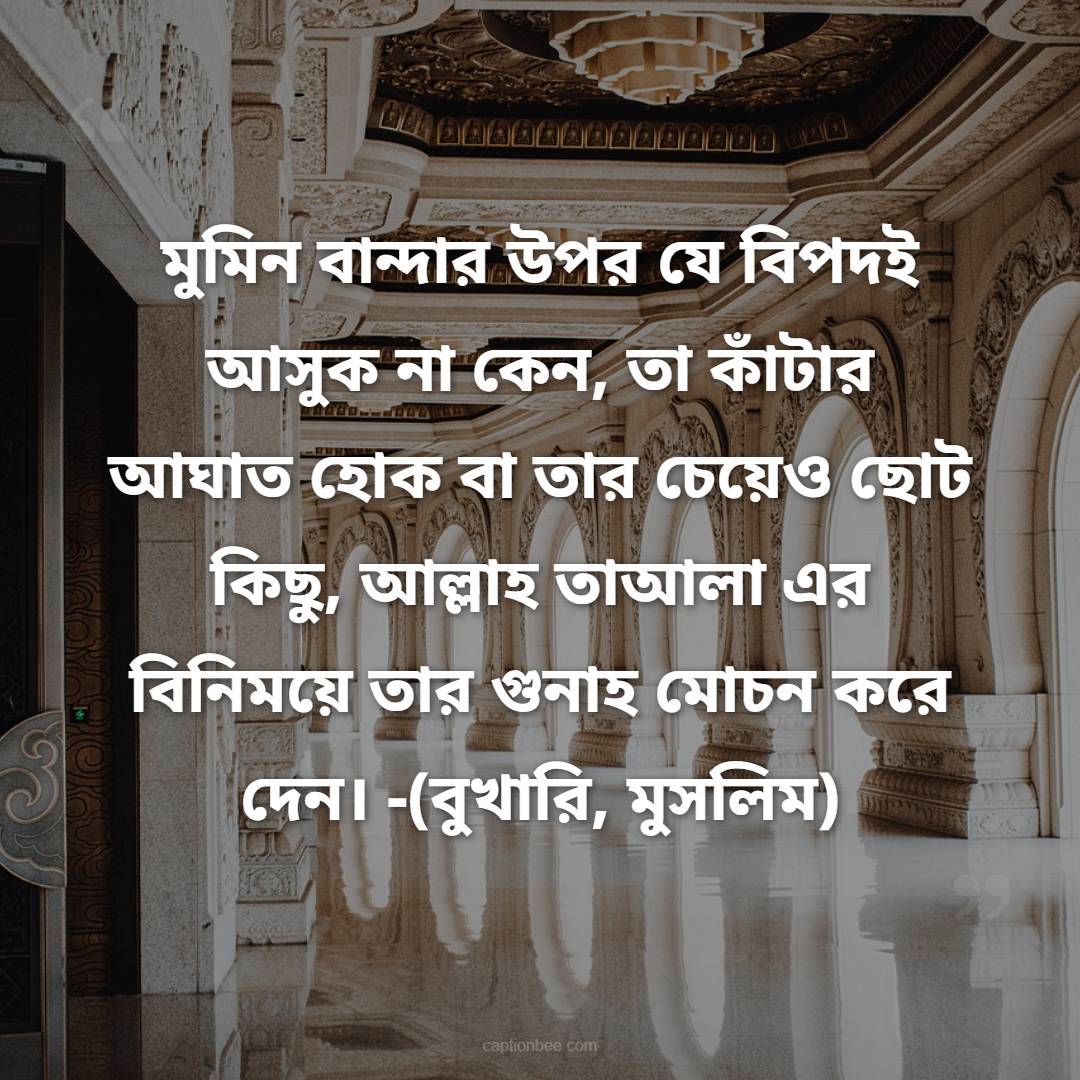 মুমিন বান্দার উপর যে বিপদই আসুক না কেন, তা কাঁটার আঘাত হোক বা তার চেয়েও ছোট কিছু, আল্লাহ তাআলা এর বিনিময়ে তার গুনাহ মোচন করে দেন। -(বুখারি, মুসলিম)