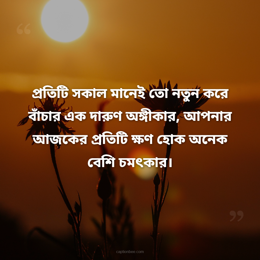 প্রতিটি সকাল মানেই তো নতুন করে বাঁচার এক দারুণ অঙ্গীকার, আপনার আজকের প্রতিটি ক্ষণ হোক অনেক বেশি চমৎকার।