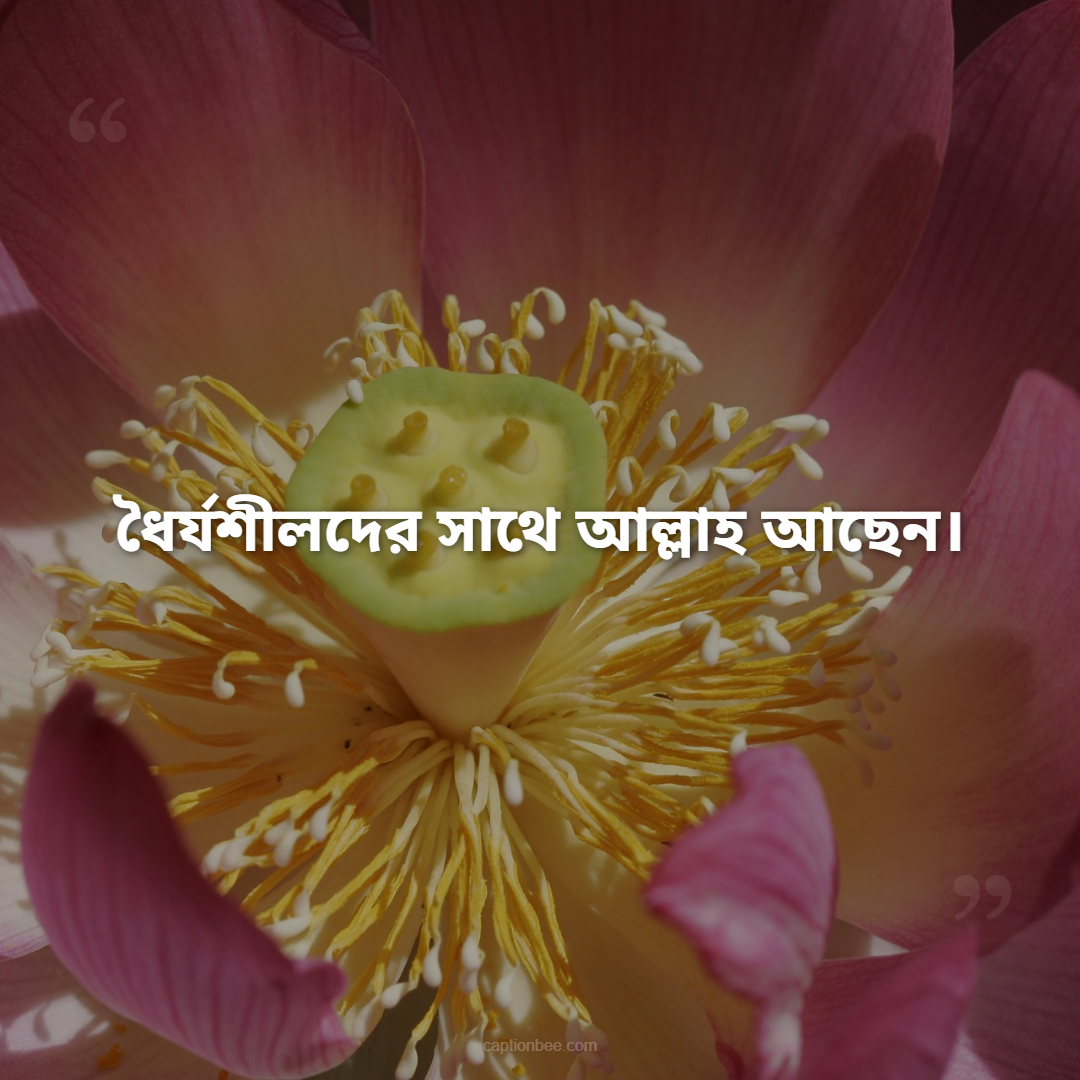 ধৈর্যশীলদের সাথে আল্লাহ আছেন।