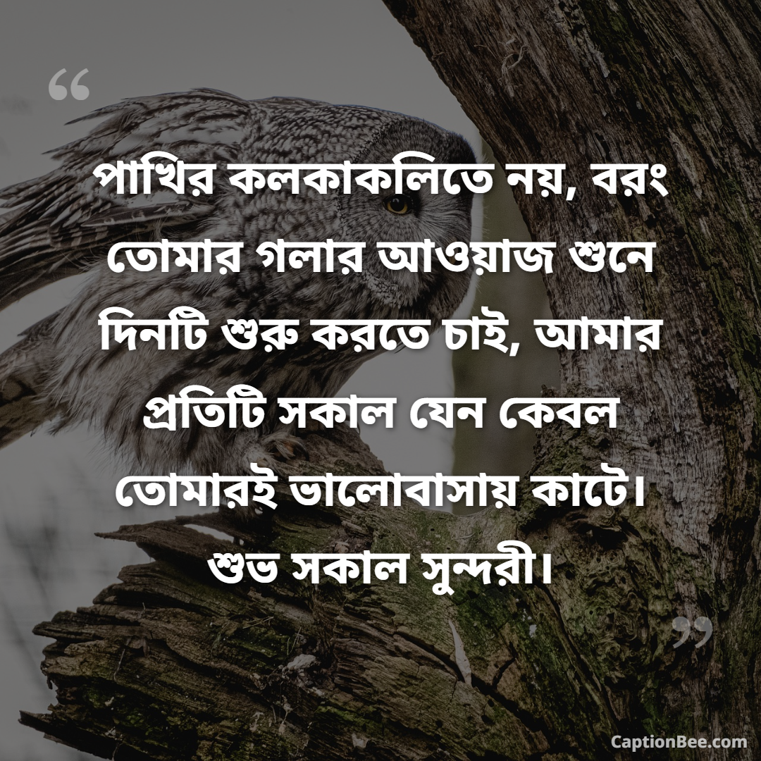 পাখির কলকাকলিতে নয়, বরং তোমার গলার আওয়াজ শুনে দিনটি শুরু করতে চাই, আমার প্রতিটি সকাল যেন কেবল তোমারই ভালোবাসায় কাটে। শুভ সকাল সুন্দরী।