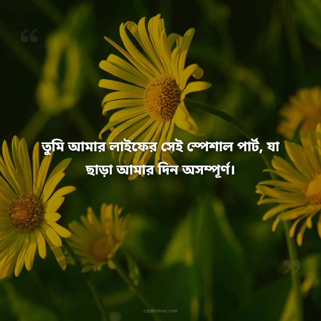 তুমি আমার লাইফের সেই স্পেশাল পার্ট, যা ছাড়া আমার দিন অসম্পূর্ণ।