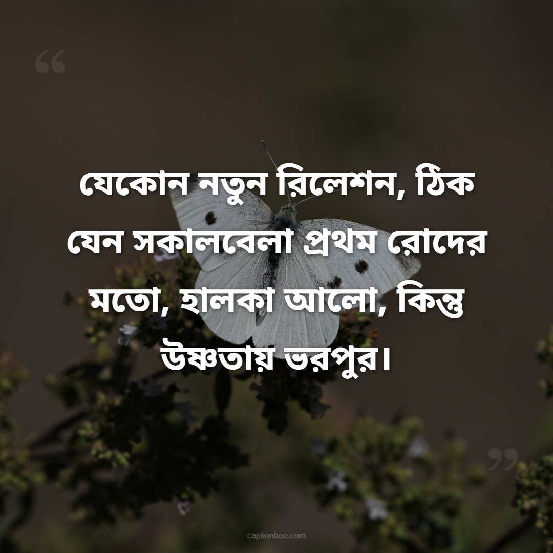 যেকোন নতুন রিলেশন, ঠিক যেন সকালবেলা প্রথম রোদের মতো, হালকা আলো, কিন্তু উষ্ণতায় ভরপুর।