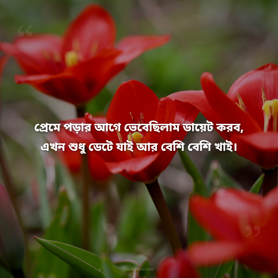 প্রেমে পড়ার আগে ভেবেছিলাম ডায়েট করব, এখন শুধু ডেটে যাই আর বেশি বেশি খাই।
