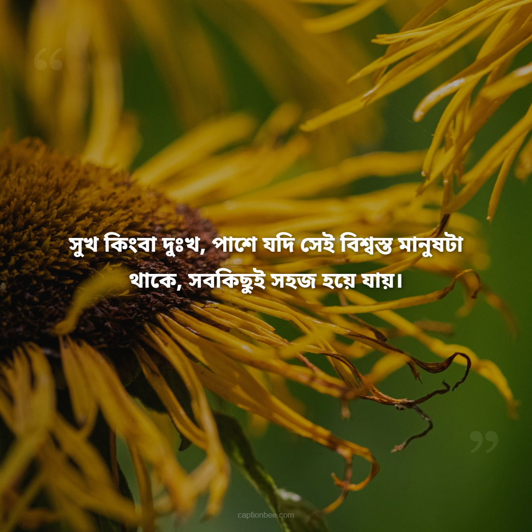 সুখ কিংবা দুঃখ, পাশে যদি সেই বিশ্বস্ত মানুষটা থাকে, সবকিছুই সহজ হয়ে যায়।